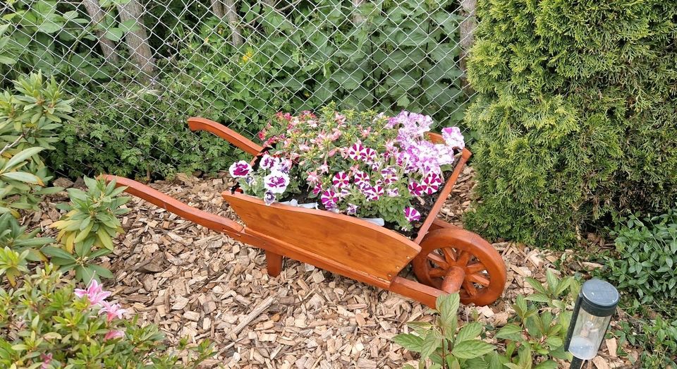 Gartenpflege dauerhaft ,  Gartenarbeiten,  Pflanzungen,  Planung in Glienicke/Nordbahn