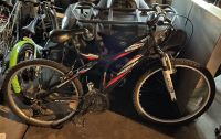 26" SHOGUN SHOCKWAVE MTB Hessen - Wiesbaden Vorschau