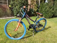 Centurion Mountainbike 24" für Kids, Bereifung neu ! Niedersachsen - Delligsen Vorschau