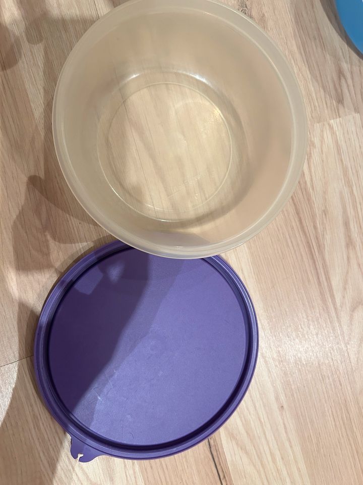 2x Tupperware Dosen in Hage