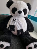 Größe Panda Nordrhein-Westfalen - Warendorf Vorschau