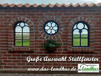 Ab20€ hunderte Stallfenster Stahlfenster alte Fenster Gartenmauer Niedersachsen - Apen Vorschau