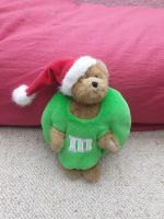 Teddy Weihnachten m&m Sammlerstück Kiel - Hassee-Vieburg Vorschau