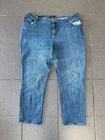 Lee Jeans Straight Leg blau, Gr. 50 (US 20W) Hessen - Bad Sooden-Allendorf Vorschau