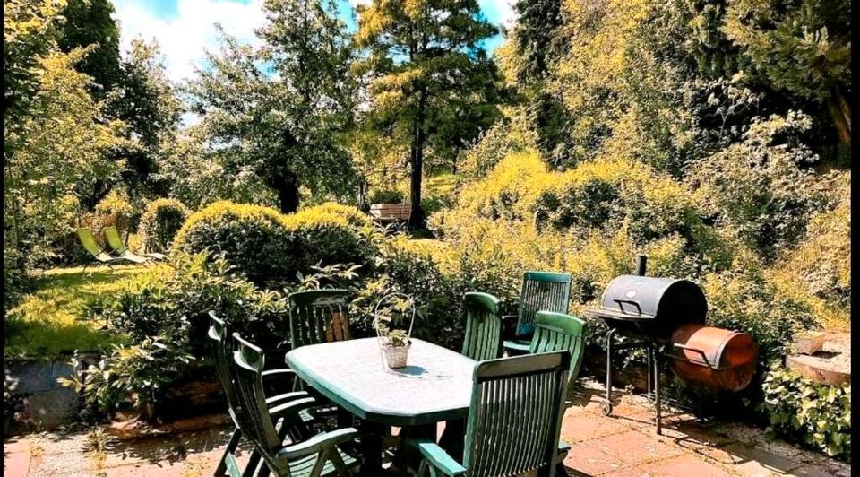 Ruhiges Ferienhaus, Alleinlage, Natur, Urlaub mit Hund, Nähe Harz in Einbeck