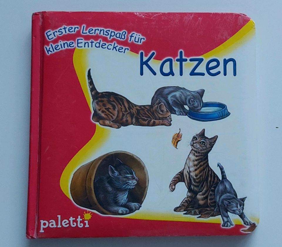 Katzenbuch für Kinder von paletti. in Petershagen