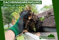 Dachrinnenreinigung / Rinnenreinigung - Fair & Schnell! Niedersachsen - Diepholz Vorschau