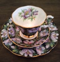 Sammeltasse Royal Albert Provincial Flowers Prairie Crocus Hessen - Otzberg Vorschau