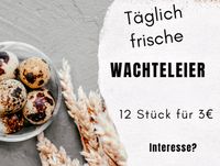 Aktuell frische Wachteleier aus Hobbyhaltung - Delikatesse Bayern - Wechingen Vorschau