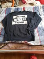 Herren Pullover 2€ Festpreis ist nicht verhandelbar Brandenburg - Cottbus Vorschau