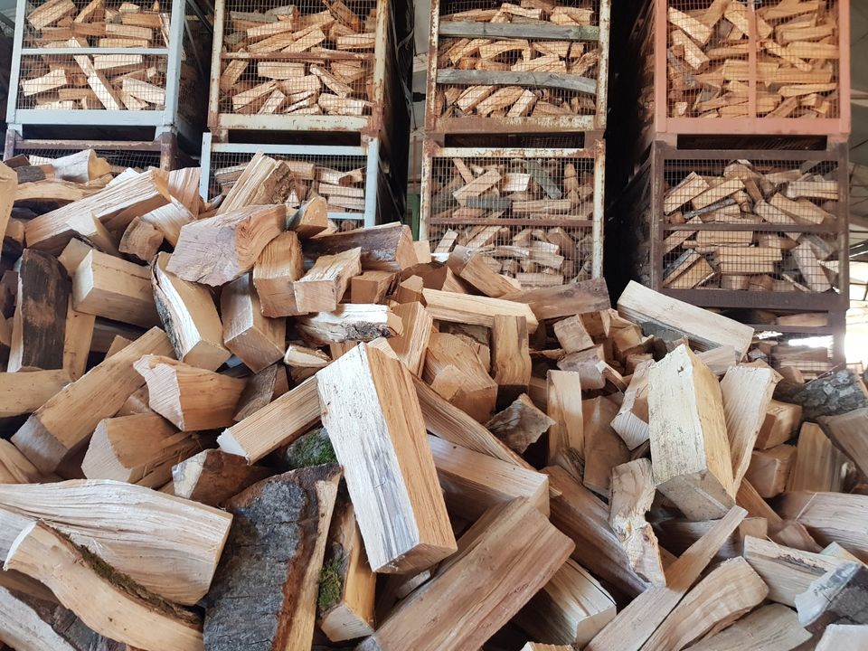 5 SRM Buchenholz Buche einjährig Kaminholz Brennholz Anlieferung in Jena