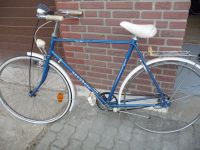 Oldtimer Fahrrad 27" Prophete Super Sport, Vintage Rheinland-Pfalz - Neustadt (Wied) Vorschau