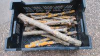 Zwetschge Smokerholz räucherholz, ca 4 kg Rheinland-Pfalz - Worms Vorschau