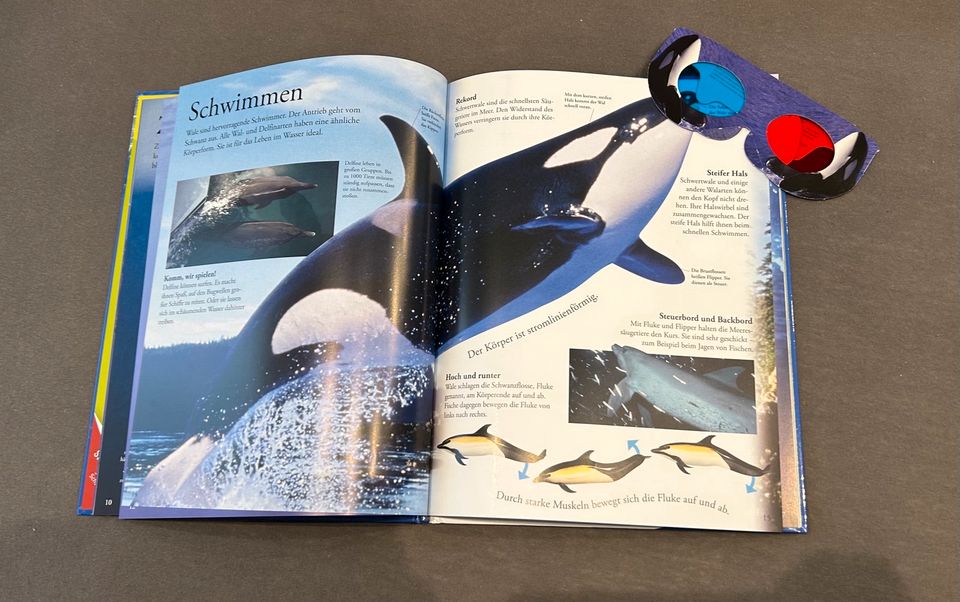 5 McDonalds Bücher Wissen DK 3D Wale Säugetiere Mensch Rekorde in Parsau