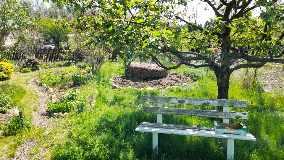 Bio Kleingarten Schrebergarten in Taucha - ab Dezember in Taucha