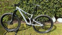 Specialized Stumpjumper Comp Alloy 29 M Nordrhein-Westfalen - Bad Salzuflen Vorschau