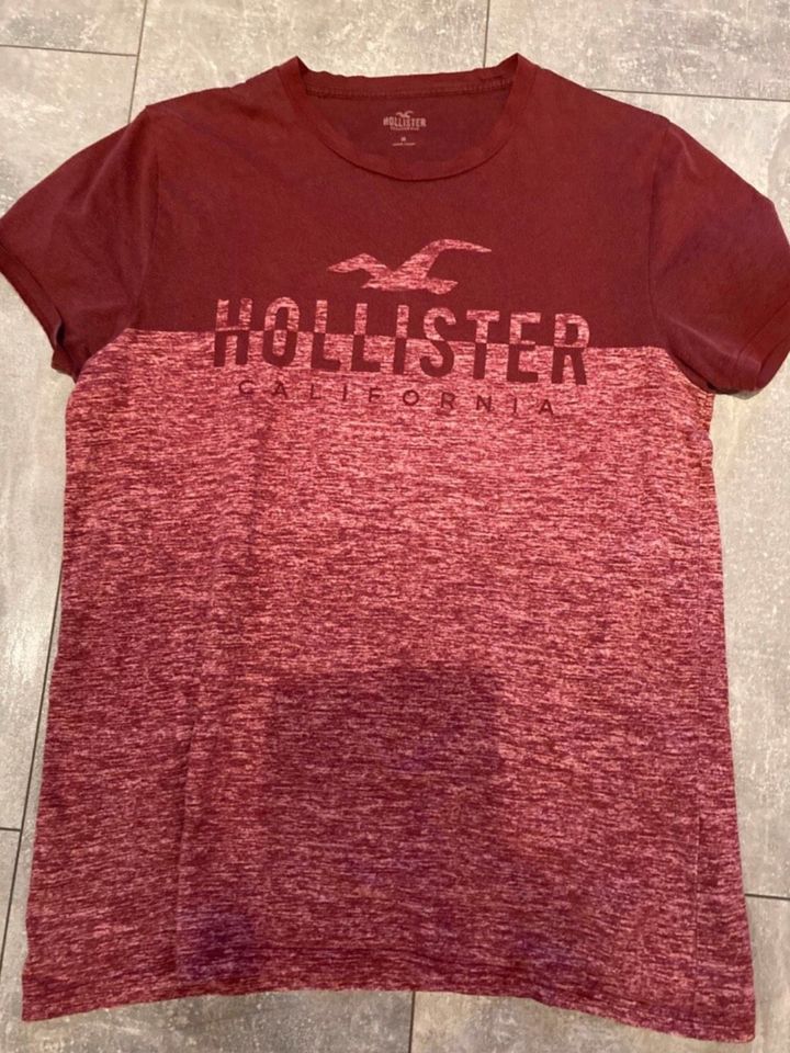 T Shirt / Shirt Hollister in Haiterbach