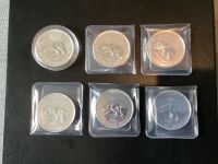 6 x 1,5 oz Canada Polarbär 999.9 Silber von 2013 Anlage Münzen Hessen - Korbach Vorschau