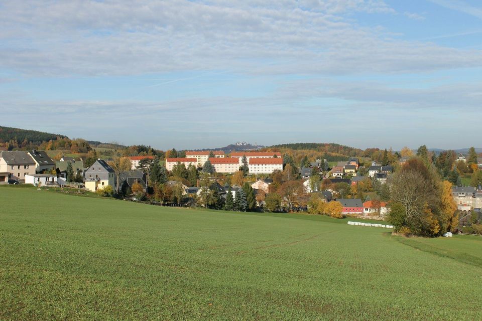 Willkommen in Grünhainichen! 3-Raum-Wohnung mit Dusche, neuer Heizanlage + opt. Garten in Grünhainichen