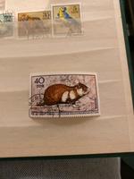 DDR gestempelt Hamster Hessen - Hainburg Vorschau
