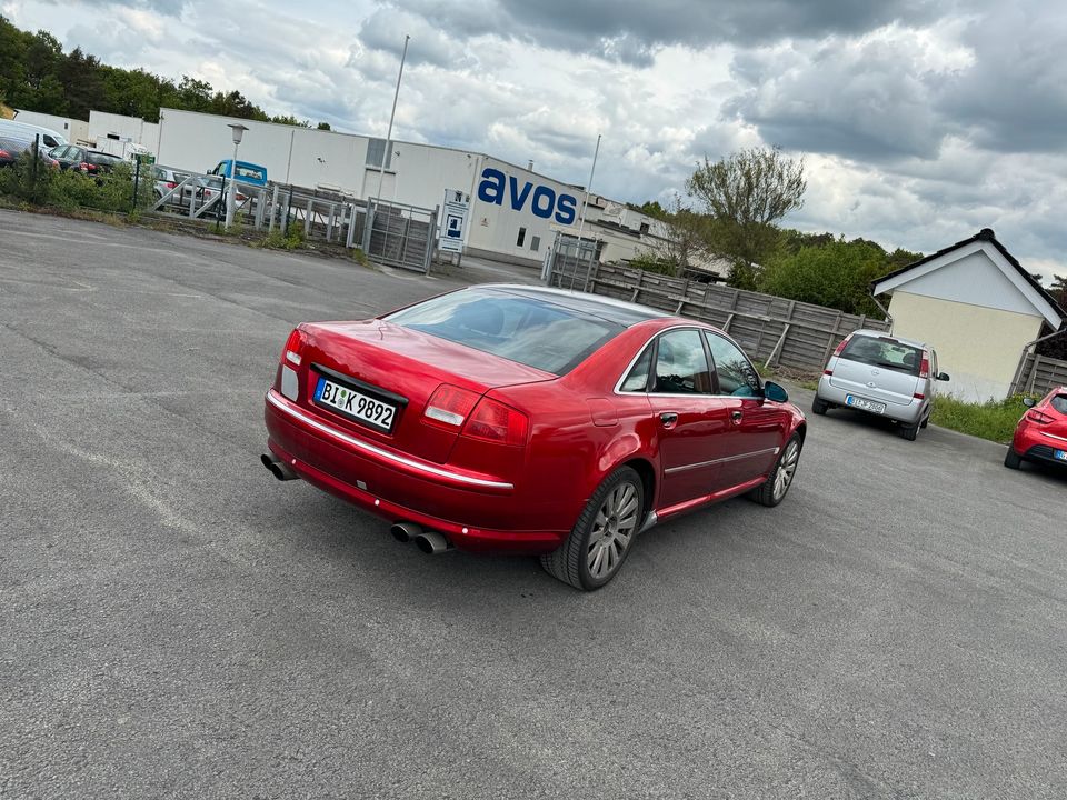 Audi a8 d3 in Bielefeld