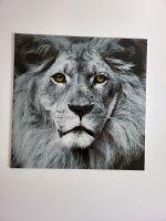 Glasbild Löwe schwarz weiß 80 cm x 80 cm Bayern - Neutraubling Vorschau