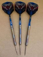 Red Dragon Peter Wright Mamba Rainbow 22g Steeldarts Dart Pfeile Baden-Württemberg - Salem Vorschau