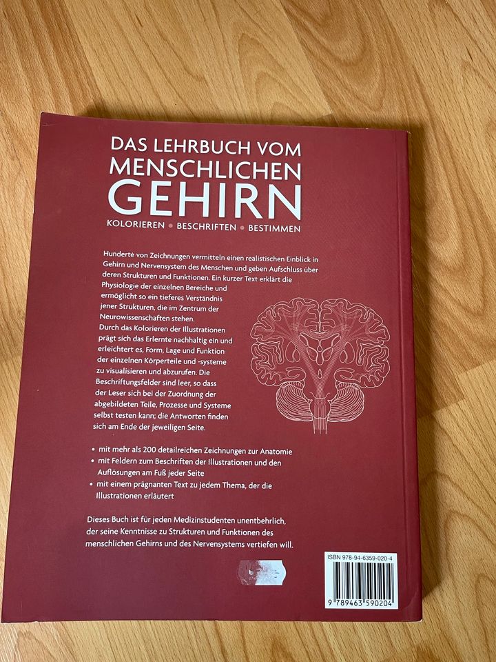 Lehrbuch Gehirn in Köln