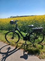 E-Bike,Gigant, Parchim - Landkreis - Parchim Vorschau