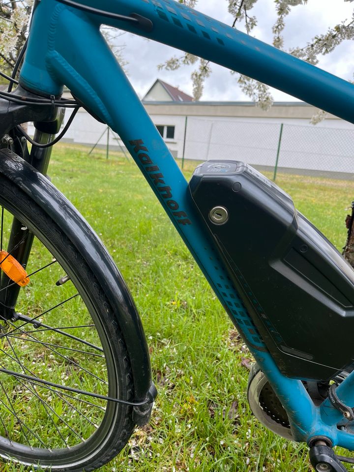 Kalkhoff E Bike Pedelec Elektrofahrrad 28 in Dresden