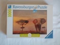 Ravensburger Puzzle Originalverpackt - "Elefant in Masai Mara" Bayern - Weiden (Oberpfalz) Vorschau