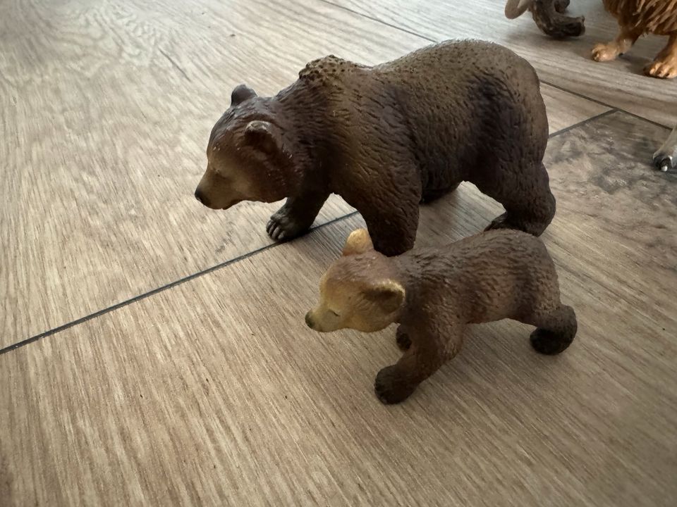 Schleich Bär Bären in Wachau