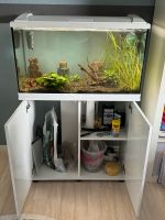 EHEIM Aquarium Komplett Set 126l mit Schrank und viel Zubehör Düsseldorf - Wersten Vorschau