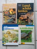 Schildkrötenbücher Dortmund - Kirchhörde Vorschau