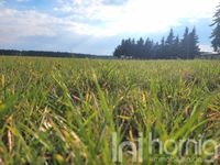 Ihr Fundament für Zukunft und Zuhause! Sachsen - Hähnichen Vorschau