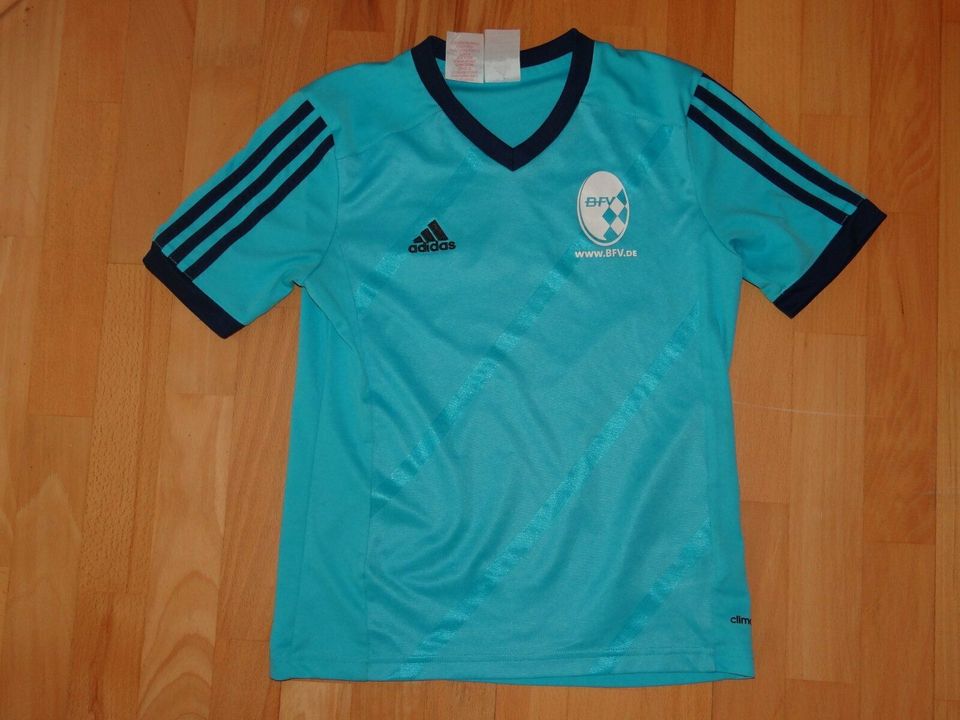 Türkisblaues Sport-T-Shirt in Größe 152 von Adidas - gut in Friedberg