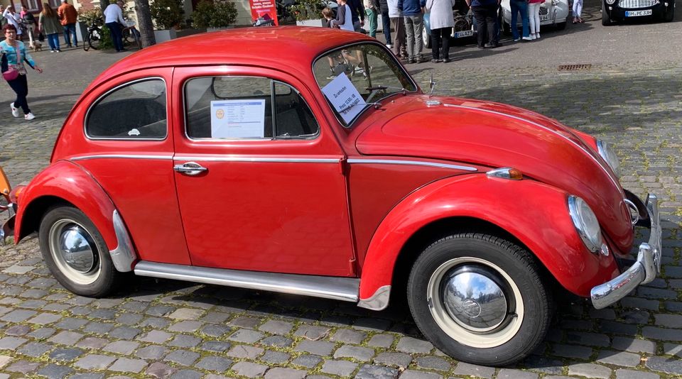 VW Käfer Dickholmer 1964 mit H-Zulassungen in Erftstadt