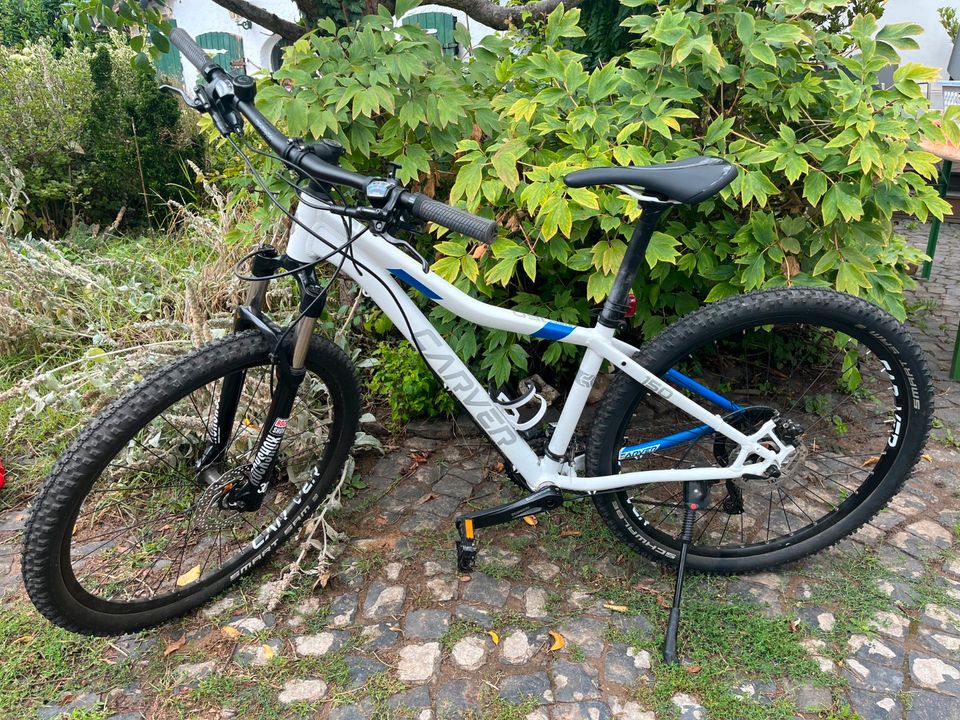 CARVER Strikt 150 W Diamant ALU  Mountainbike 38cm 27,5“ Cube in Wiesbaden