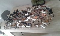 280 Schleich Pferde Pony Fohlen Sammlung Konvolut Nordrhein-Westfalen - Borgentreich Vorschau