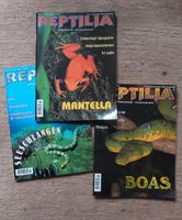 Zeitschriften "Reptilia", "Terraria", versch. Ausgaben Hessen - Offenbach Vorschau