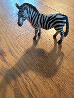 Schleich Zebra Bayern - Ampfing Vorschau