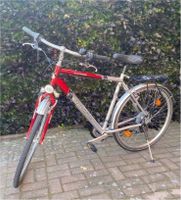 Herrenfahrrad 28Zoll Nordrhein-Westfalen - Sassenberg Vorschau