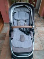 maxi cosi adorra Kinderwagen und Buggy Baden-Württemberg - Neckargemünd Vorschau