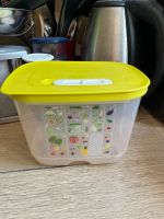 Tupperware Klimaoase 1,8 l hoch tupper prima Kühlschrank Hessen - Hanau Vorschau