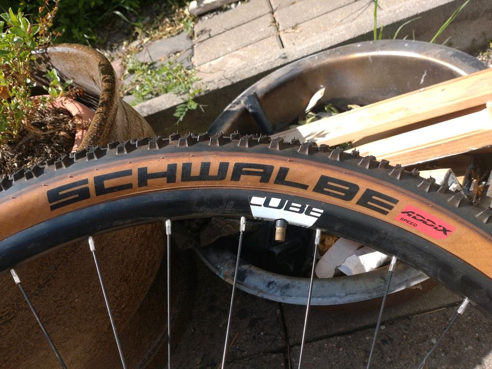 Laufrad mit Schwalbe Racing Ralph in Ilsenburg (Harz)