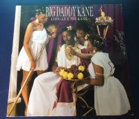 Big Daddy Kane Rap HipHop 2 Schallplatten Vinyl Nordrhein-Westfalen - Raesfeld Vorschau