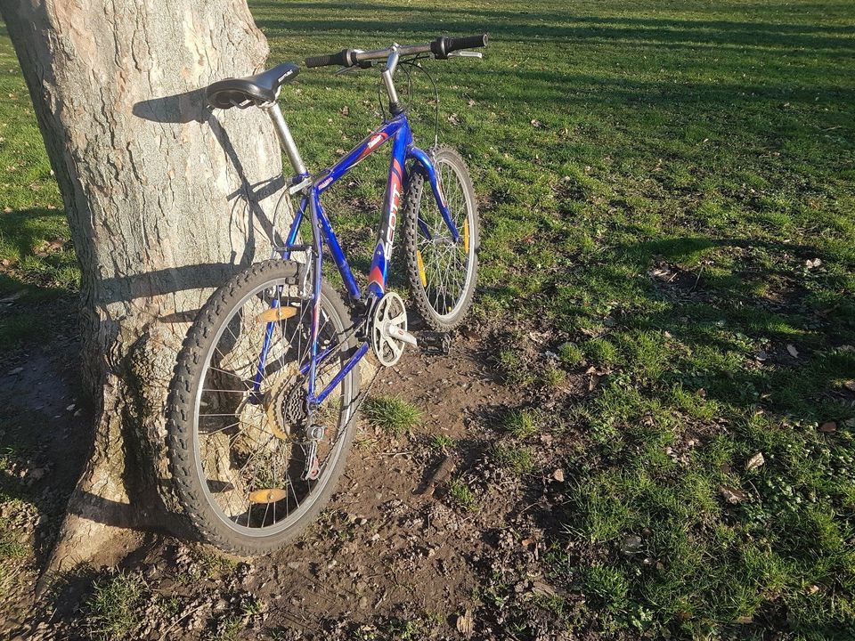 Mountainbike Scott Timber in Dresden