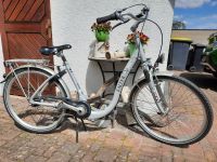 Falter Fahrrad mit tiefem Einstieg 26 Zoll Räder Rheinland-Pfalz - Windesheim Vorschau