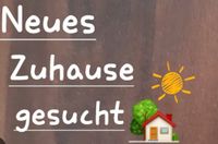 Auf der Suche nach einer Wohnung für zwei Personen Hessen - Gießen Vorschau