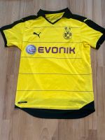 Dortmund Trikot, Größe M, 2 kleine Löcher Baden-Württemberg - Reichenau Vorschau